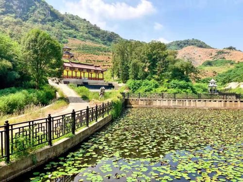 原來(lái)家門口這么多好玩的 國(guó)慶假期,武穴人必去的景點(diǎn)都在這