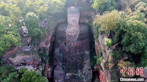 樂山大佛景區限游客數量 游覽安全有序