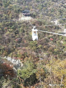 網紅招募令 平頂山交通廣播邀您免費游覽河南天龍池景區(qū)