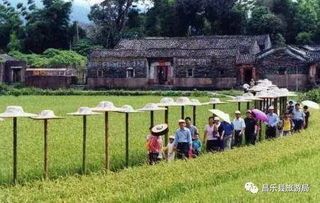 開(kāi)發(fā)鄉(xiāng)村旅游,應(yīng)關(guān)注這四類(lèi)產(chǎn)品